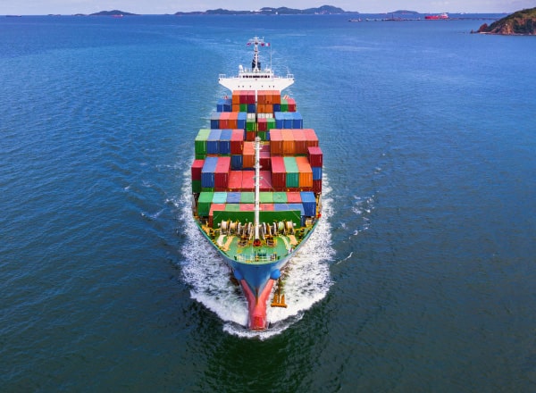 Web programlama hizmetleri